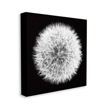 Imagem de Stupell Industries Fotografia de flor de pelúcia floral de dente-de-leão preto e branco, projetada por Aledanda Wall Art, 76 x 76 cm, tela
