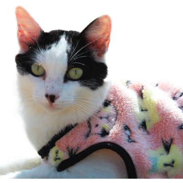 Imagem de Agasalho My Dream Cat - Tam. GG