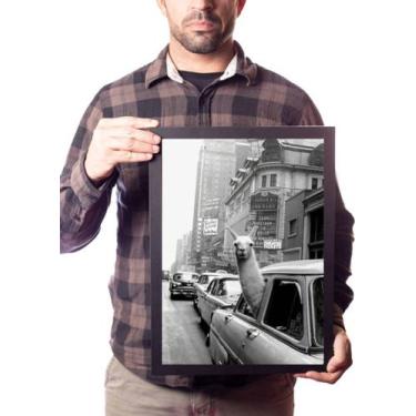 Imagem de Quadro Foto Lhama No Carro Na Times Square Em 1957 - Fanarte