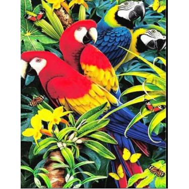 Imagem de Como comprar talagarça Kit completo tela pintada lã agulha e manual - 