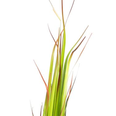 Imagem de Grass Artificial Print Com Pote Real Toque Verde 2t 120 Cm F04 - D'rossi