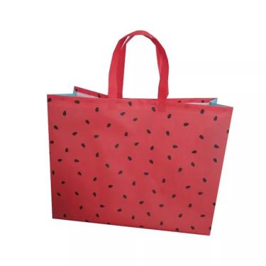 Imagem de Sacola Retornável Melancia - basic+