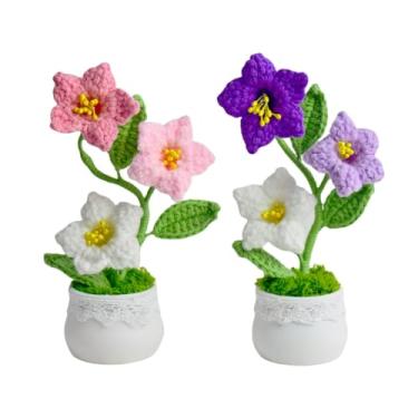 Imagem de 2 peças de presentes de dia dos namorados, flores de crochê, vasos de plantas de malha, enfeites de lírio do vale para esposa, namorada e mulheres, painel de carro, mesa, decoração de escritório em