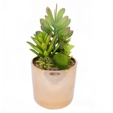 Imagem de Vaso Decorativo Dourado Com Suculentas Artificiais Sortidas 19x8 Cm F04 - D'rossi