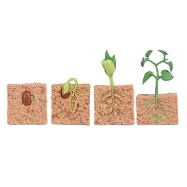 Imagem de ASHATA Kit de Modelo de Crescimento de Plantas de Feijão Verde Brinquedos Educativos Realistas para Crianças Ideal para Estação Científica na Escola Ideal para Material Pré-escolar Plástico (plantar)