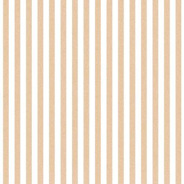 Imagem de Papel De Parede Top Stripes Listras Cor Rose Ts38438
