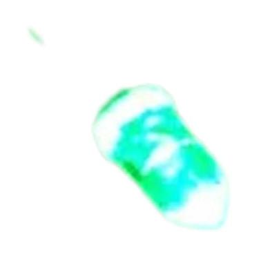 Imagem de Luzes LED Redondas De 5mm 100pcs Branco Quente Vermelho Azul Rosa Tran