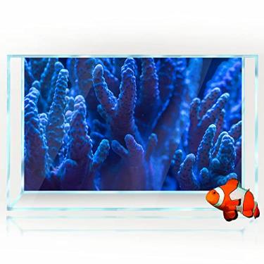 Imagem de Fundo de aquário 3D coral azul decora oceano papel de parede impressão HD tanque de peixes réptil habitat decorações de fundo PVC paisagem pôster adesivo (11,8 x 23,6 (30 x 60 cm))