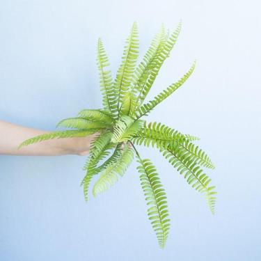 Imagem de Buque de Samambaia Artificial  Linha Permanente Formosinha - FLOR DE S