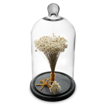 Imagem de Arranjo de Flores Secas Sempre Viva na Cupula Branca Bs
