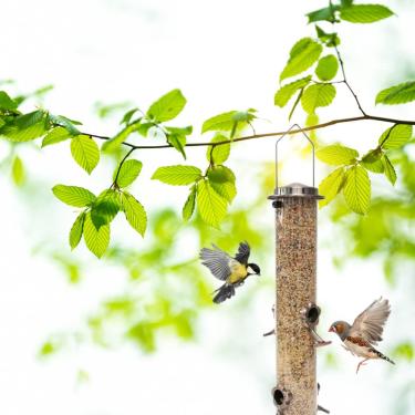 Imagem de Zhjvihx Alimentador de Pássaros Suspenso para Jardim, Alimentadores de Pássaros Externos, Resistente às Intempéries para Galhos (A)