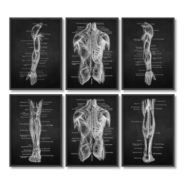 Imagem de Conjunto de 6 pôsteres de pintura em tela de músculo de órgão esqueleto impressões vintage anatomia do corpo humano imagens de parede médica decoração de sala de clínica (SKU2-6PCS, 12 x 18 polegadas