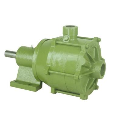 Imagem de Bomba D'água Centrífuga Me-Al 26100 Mancalizada Schneider
