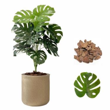 Imagem de Planta Costela de Adão Artificial + Vaso Bojo Moderno Casa - Plandec