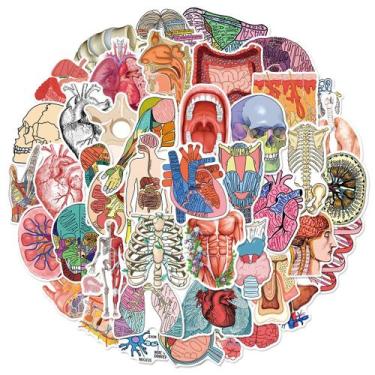 Imagem de Adesivos, anatomia humana, diagrama de órgão, à prova d'água x50 - yiw