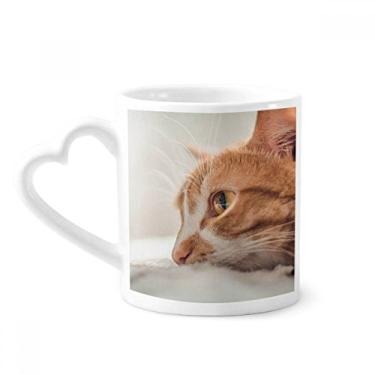 Imagem de Caneca com foto de gato puro animal caneca de cerâmica copo de coração de vidro