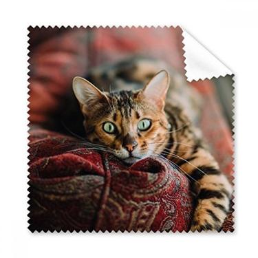 Imagem de Pano de limpeza para fotografia de gato olho verde animal limpador de óculos 5 peças
