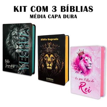 Imagem de Kit 3 Bíblias Letra Grande luxo com Harpa - Edição de Promessas - REI 