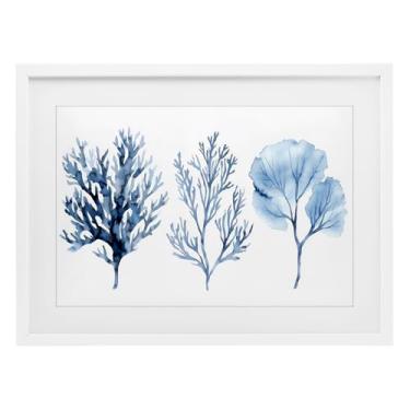 Imagem de Stupell Industries Impressão emoldurada branca trio de tipos de coral azul sob vidro, design por LSR Design Studio, 43 x 58