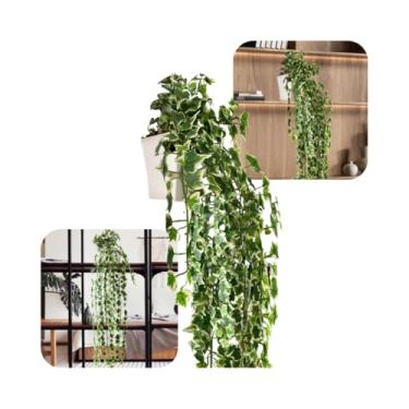 Imagem de Folhagem Pendente Verde Permanente Jiboia Hera Begonia Mini Folhas Planta Artificial(Hera Variegata)