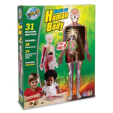 Imagem de Human Body Anatomy Model Kit – 31-Piece Interactive STEM Set with 9 Squishy Organs, Bones, Muscles & Blood Vessels, Forceps & Discovery Guide – Educational Science Tool for Kids 6+