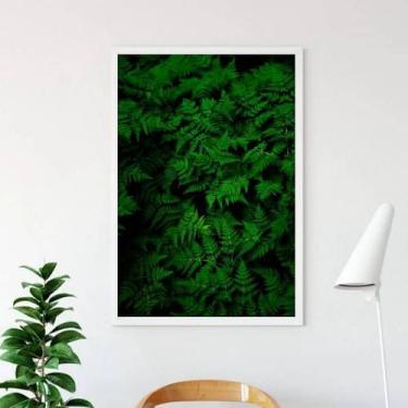Imagem de Quadro Decorativo Fotografia Samambaias - Quadros On-line, A3 (45 x 34