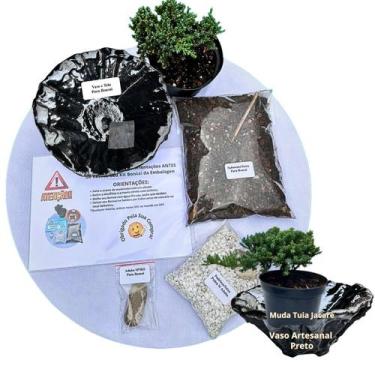Imagem de Kit Bonsai Faça Você Mesmo Com Uma Muda De Tuia Jacaré - Vaso Artesana