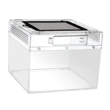Imagem de WeiLaiKeQi Terrário para répteis, recipiente transparente com ventilação, caixa de reprodução, habitat para sapos, lagartos, tartarugas, escorpiões, tarântulas, 20cmx20cmx15cm