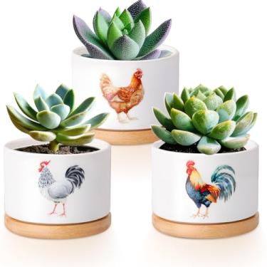 Imagem de Vesici 3 potes de suculentas de frango com drenagem e bandeja de bambu, pequenos vasos de suculentas de cerâmica para mini plantas, cacto, animal, planta, vaso para escritório, decoração de casa