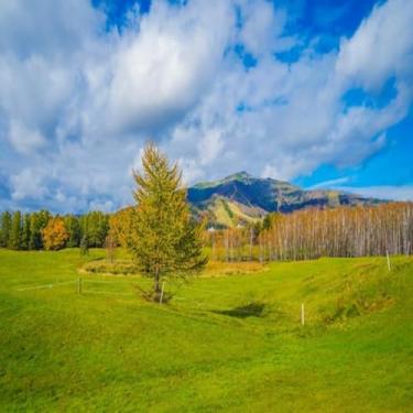 Imagem de Quadro Decorativo Green Hills e Árvores - Arte Moderna para Decorar Ambientes Tamanho 30x30cm