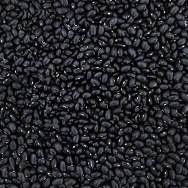 Imagem de Feijão Preto IPR URUTAU - 5 kg De Sementes