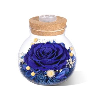 Imagem de Bessol Preserved Flower Rose Birthday Gifts for Women Forever Flowers Presentes exclusivos para aniversário do Dia das Mães