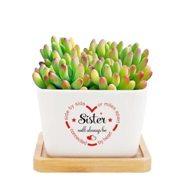 Imagem de Nsetriu Para irmãs vasos de plantas, presentes para irmãs, irmãs, irmãs, irmãos, presente para irmãs mais velhas, adultos, aniversário, dia das mães, presente para mulheres, vasos de flores, plantador