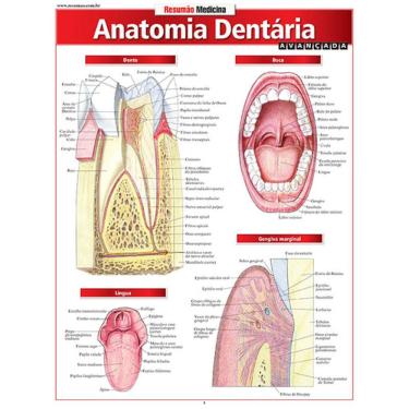 Imagem de Livro - Anatomia Dentária Avançada