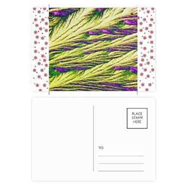 Imagem de Palhetas Aglomerado Cor Papel de Parede Natal Flor Celebração Cartão Postal Blessing Mailing Card