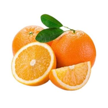 Imagem de Muda Frutífera de Laranja Seleta Enxertada - AgroJardim