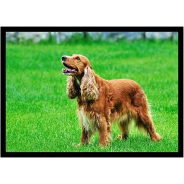 Imagem de Quadro Decorativo Animais Cachorro Cocker Spaniel Inglês Veterinário P
