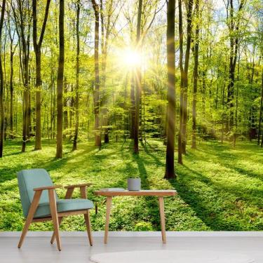 Imagem de Papel de Parede Paisagem Floresta Natureza Sol Sala Adesivo - 087pcm -