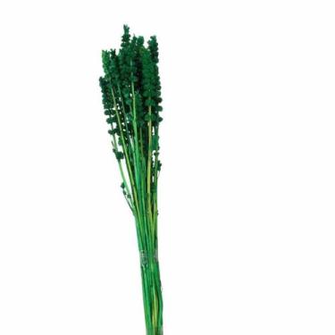 Imagem de Rubi Verde Desidratado - Pense Flores