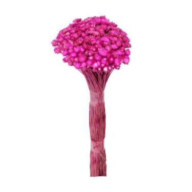 Imagem de Plantas Seca Botão Margarida Desidratado Rosa - Pense Flores