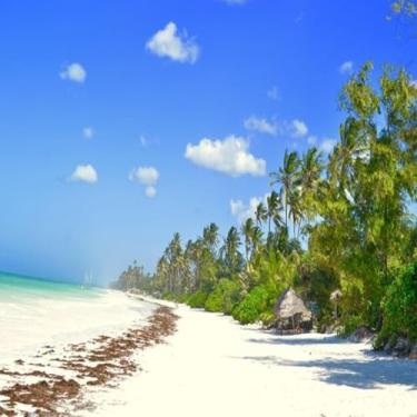 Imagem de Kit Motor Kmp Premium Rik/Txk (Com Cilindro + Pistao + Anel + Junta Kit-A + Biela) Cb 300R 2009/2015 - Xre 300 2009/