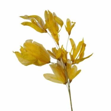 Imagem de Planta Seca Pimentinha no Espeta Amarelo - Pense Flores