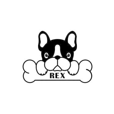 Imagem de Quadro decorativo BullDog com ossinho