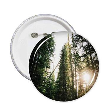 Imagem de Emblema de decoração com botões de distintivo com tema de natureza e ciência florestal verde 5 peças