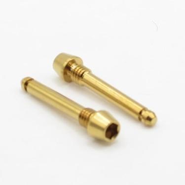 Imagem de Easybikeparts Pino de retenção de pastilhas de freio de titânio para SRAM DB, nível, guia, guia RE, DB8 e freios de código (pacote com 2) (dourado)