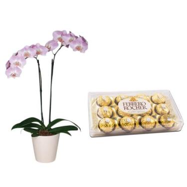 Imagem de Kit 1X Bombons Ferrero Rocher 12 Unidades + 1X Flor Orquídea Phalaenop