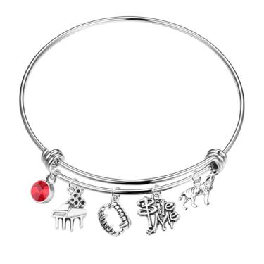 Imagem de FOTAP Pulseira inspiradora de filme de vampiro com pingente de lobo e morda-me, joia de cristal, presente de fã de vampiro e amante, One Size, Aço inoxidável, Sem Pedra Preciosa