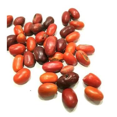 Imagem de Fava de ogum - CASA FÉ