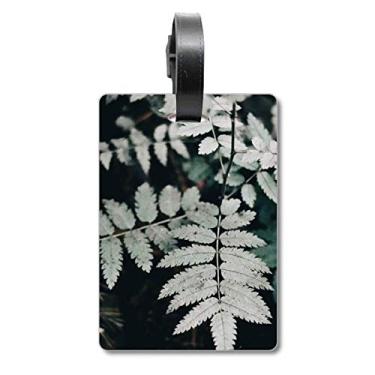 Imagem de Fotografia Folha Planta Imagem Natureza Mala Etiqueta Cartão de Bagagem Scutcheon Etiqueta