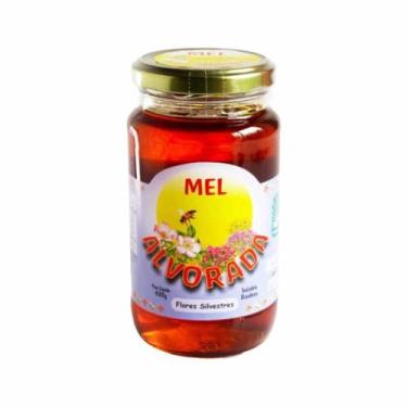 Imagem de Mel Silvestre Alvorada 430g